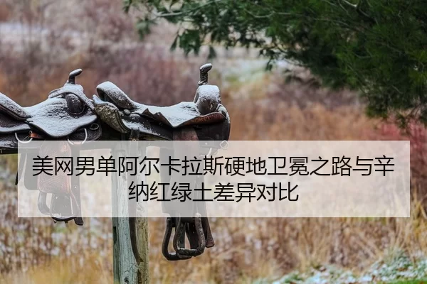 mei-wang-nan-dan-a-er-ka-la-si-ying-di-wei-mian-zhi-lu-yu-xin-na-hong-lv-tu-cha-yi-dui-bi-2-295.jpg