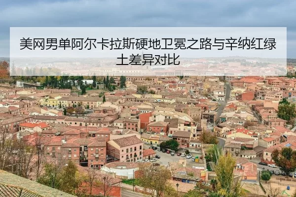 mei-wang-nan-dan-a-er-ka-la-si-ying-di-wei-mian-zhi-lu-yu-xin-na-hong-lv-tu-cha-yi-dui-bi-3-920.jpg